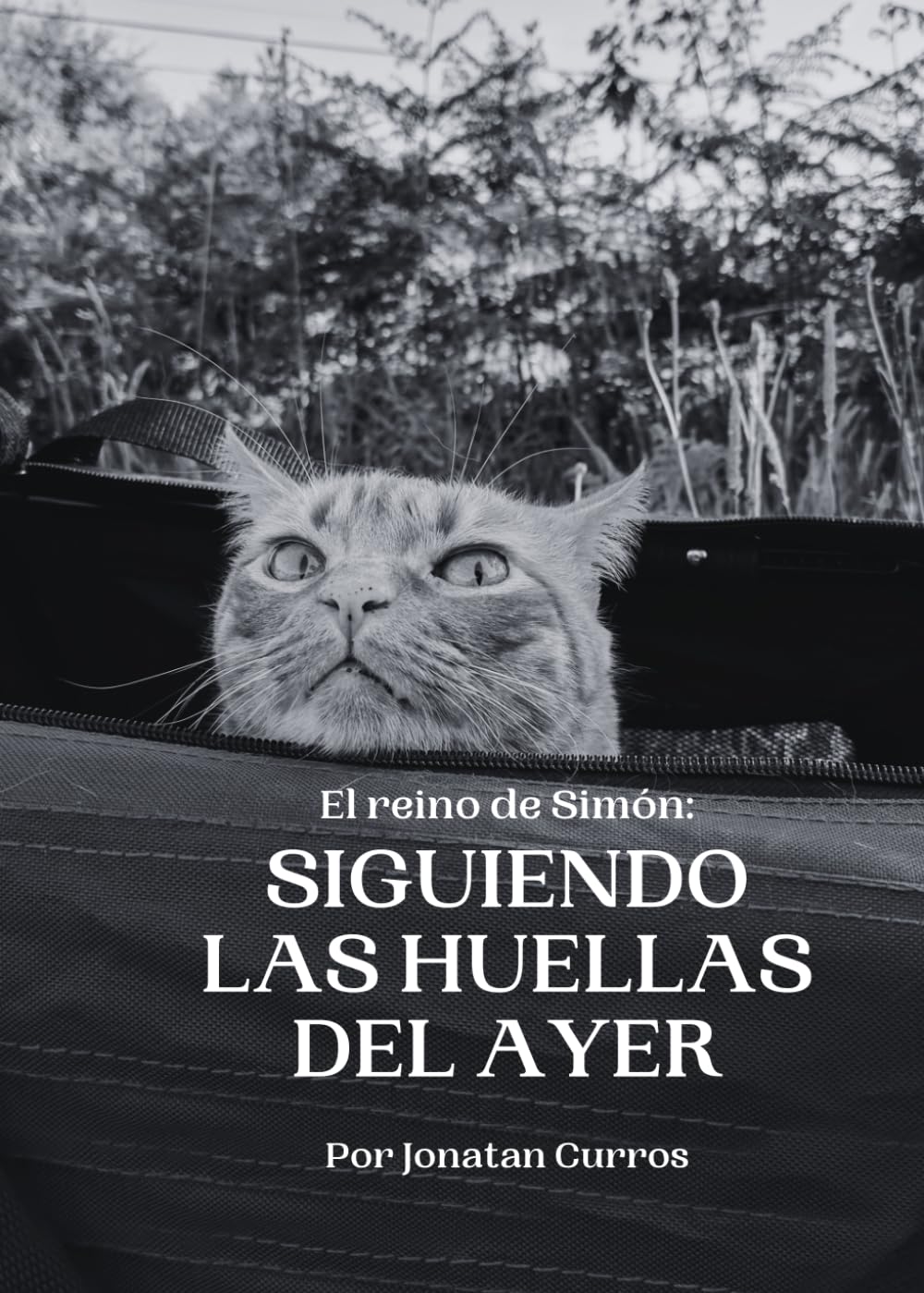 Portada El reino de Simón: Siguiendo las huellas del ayer